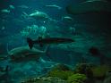 081215jw_o_park_p1160351