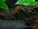 09jan_sm_vancouver_P1020682