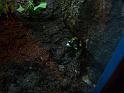 09jan_sm_vancouver_P1020685