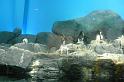 090410jw_langkawi_P1170964