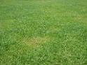20120819my_central_P8190310