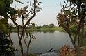DSCN6338