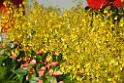 20150328sm-floral-exhibition_DSC_1819