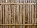 090315sm_P1030612