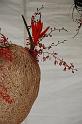 080315DSC_0023