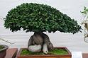 080315DSC_0097