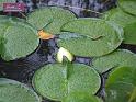 DSCF0437
