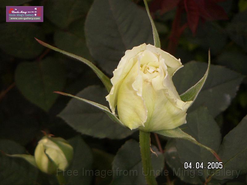 PICT0943.JPG