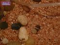 100406_eco_exhibition_P1070084