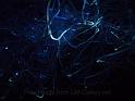 100627sci_museum_P1040629