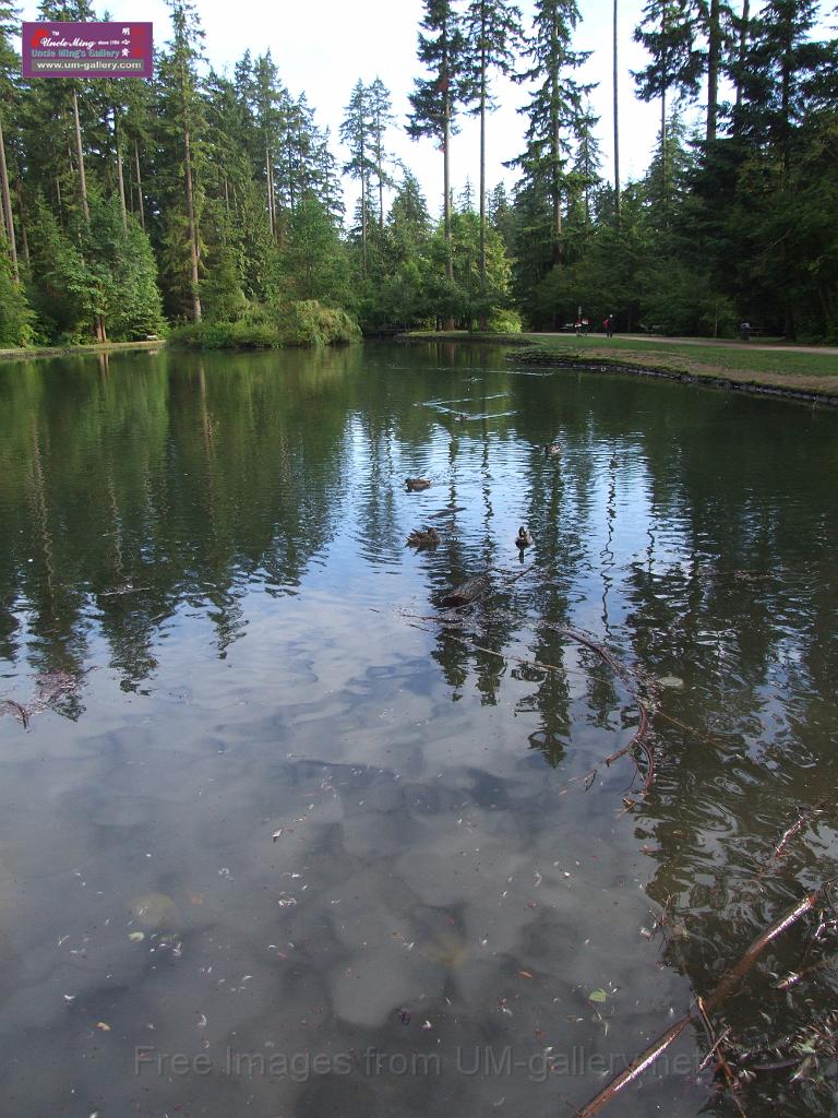 DSCF0537.JPG