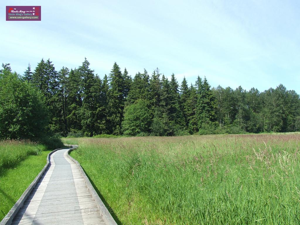 DSCF0612.JPG