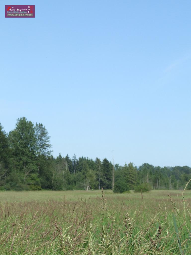 DSCF0617.JPG