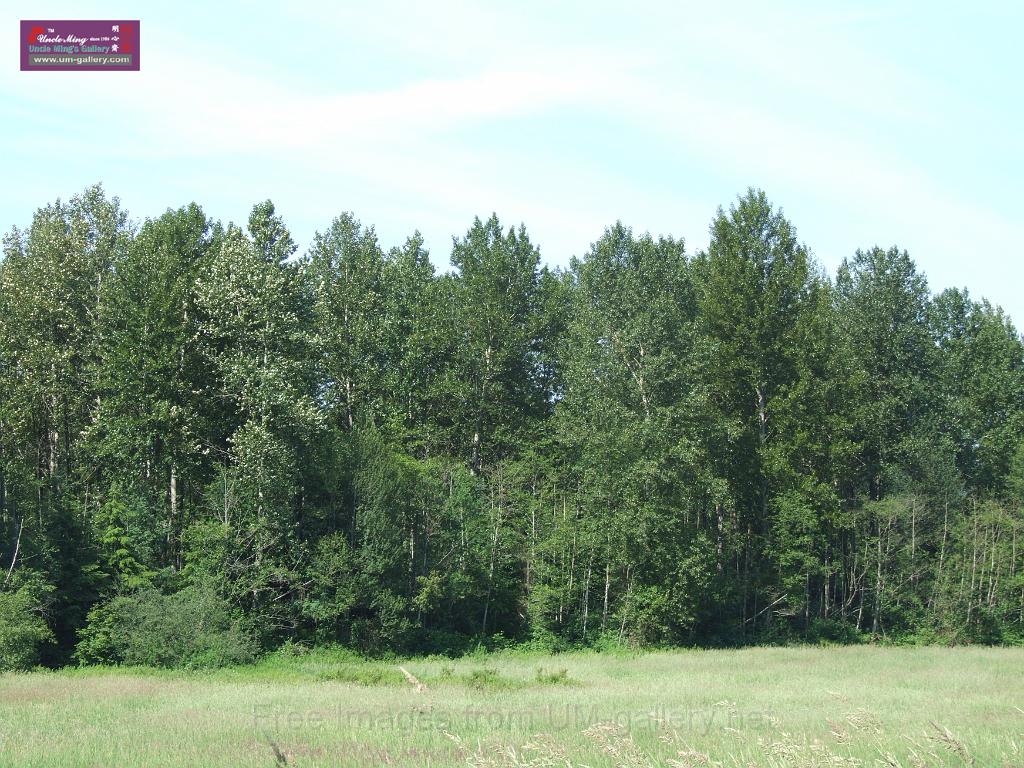 DSCF0624.JPG