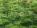 DSCF0721