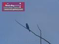 0803jw_P1080856