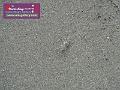 0803jw_P1080872