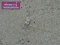0803jw_P1080873
