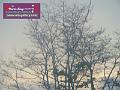 0803jw_P1090004