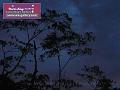 0803jw_P1090027