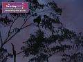 0803jw_P1090029