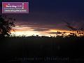 0803jw_P1090031