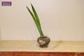 0803sm_DSC__0795