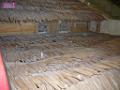 0803sm_P1090527