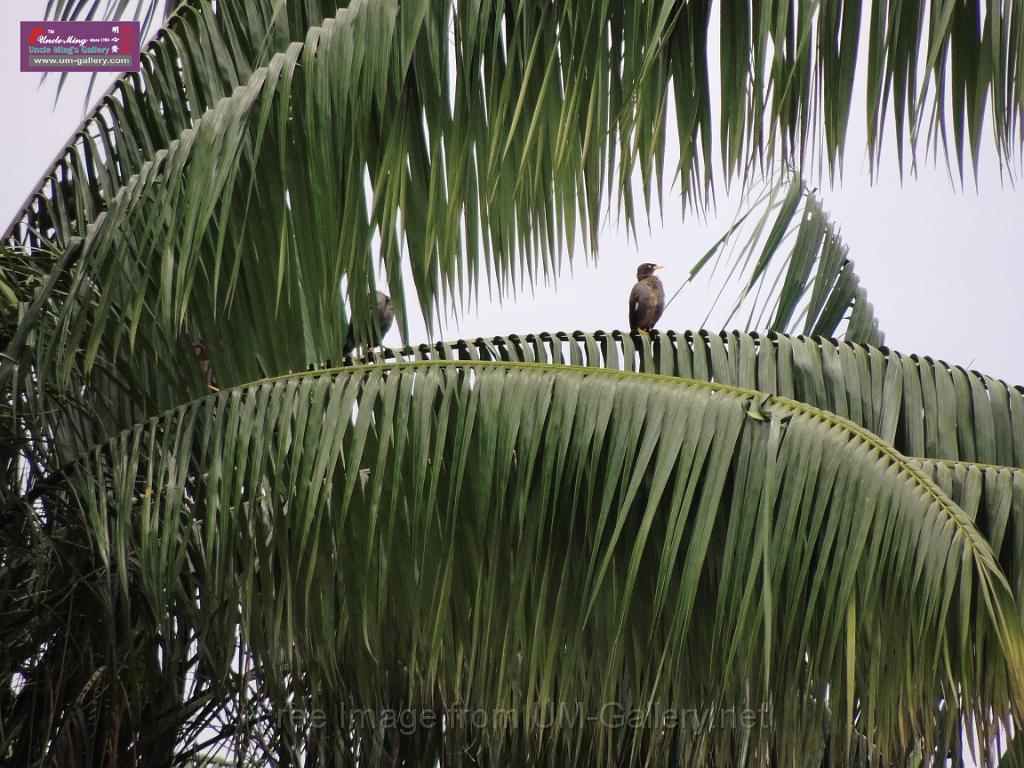 201309vol02-sf-singapore-DSCN6701.JPG