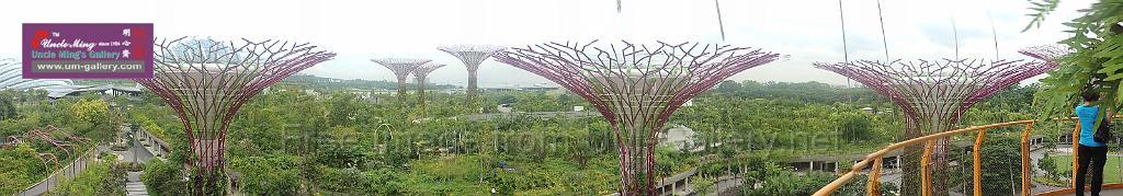 201309vol02-sf-singapore-DSCN6811.JPG