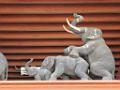 201703sf-thailand-north-DSCN4487