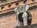 201703sf-thailand-north-DSCN4542