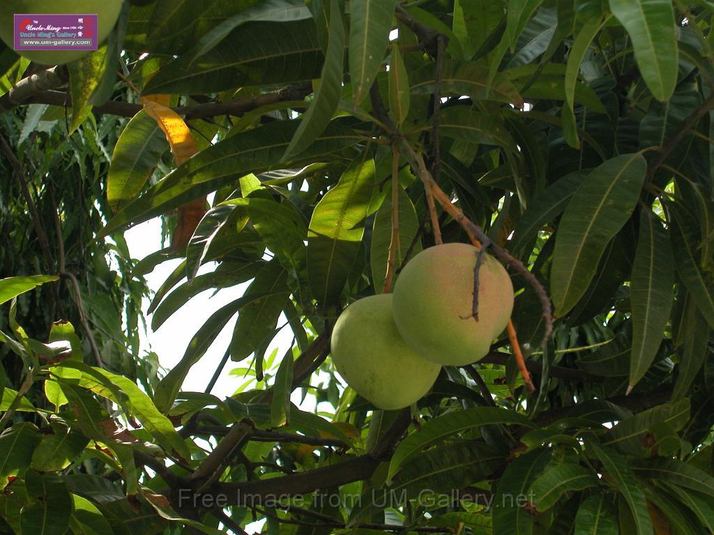 DSCN1053.JPG