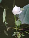 20170722sf-hezhou-DSCN5860