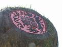 20170722sf-hezhou-DSCN5904