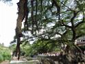 20170722sf-hezhou-DSCN6190