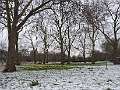201803sf-UK_DSCN8481.JPG