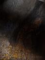 20140630jw-australia-P1160701