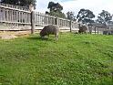 20140630jw-australia-P1160709