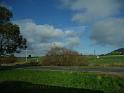 20140630jw-australia-P1160881
