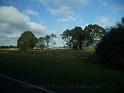 20140630jw-australia-P1160887