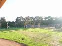 20140630jw-australia-P1170125