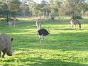 20140630jw-australia-P1170150