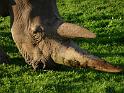 20140630jw-australia-P1170153