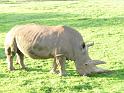 20140630jw-australia-P1170155