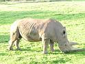 20140630jw-australia-P1170156