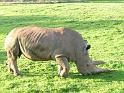 20140630jw-australia-P1170157
