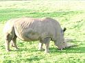 20140630jw-australia-P1170158
