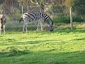 20140630jw-australia-P1170159