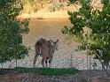 20140630jw-australia-P1170177